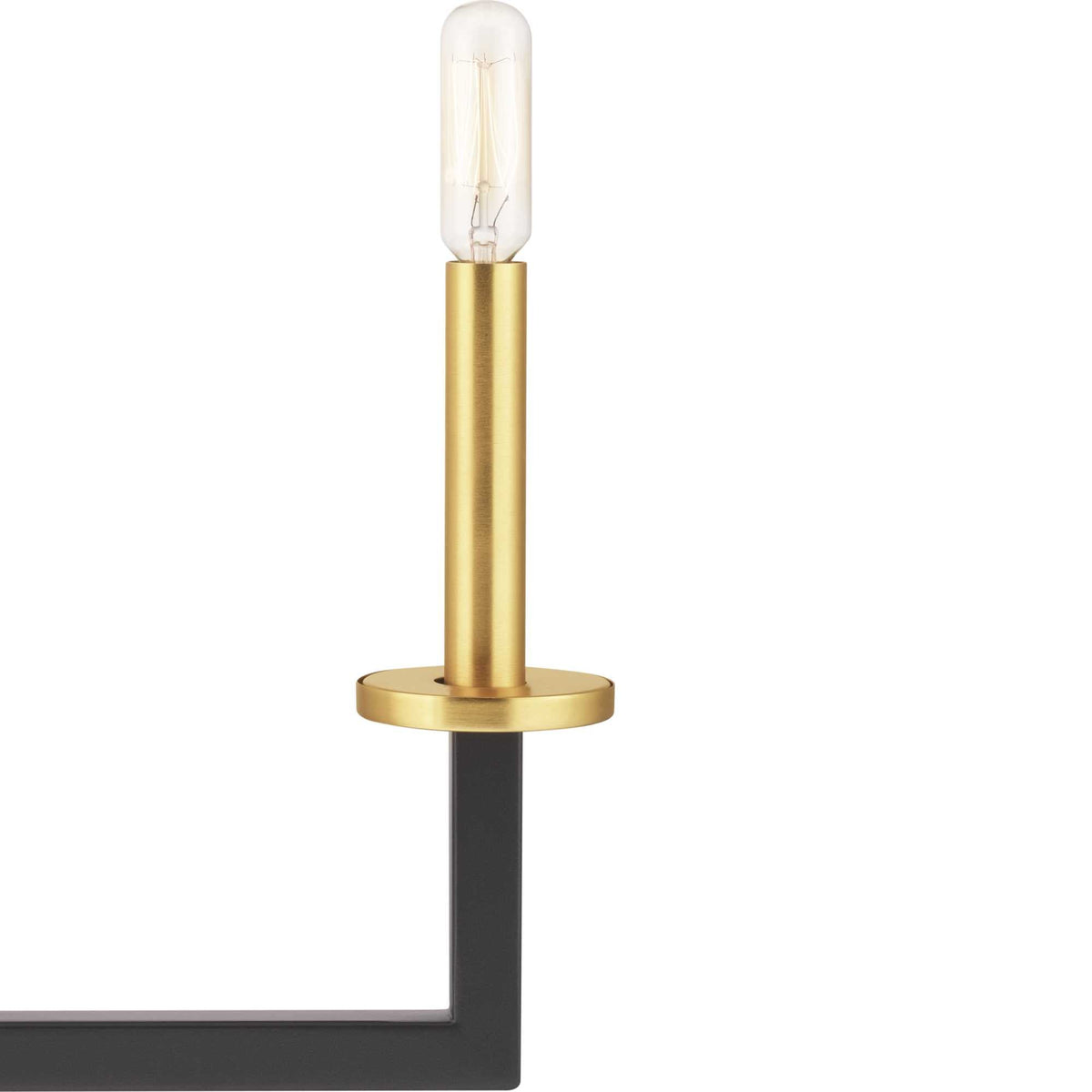 Progress Lighting Blakely 4-Light Black Modern/Contemporary Chandelier