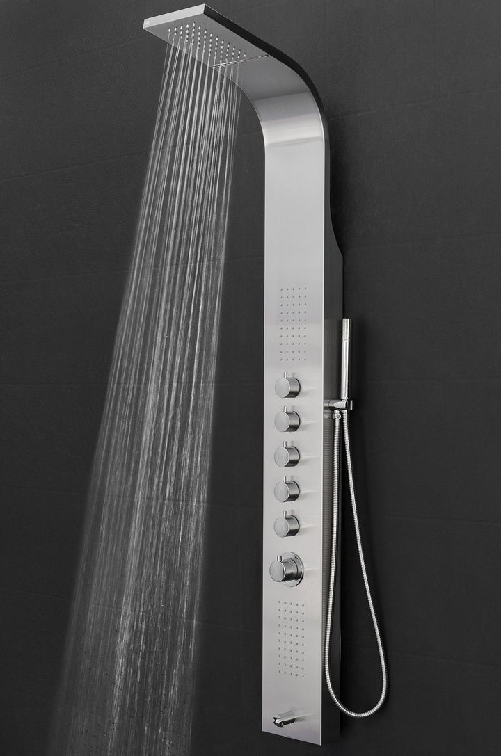 AKDY 63-in Stainless Steel 2-Spray Shower Panel System (Valve Included)