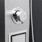 AKDY 39-in Brushed Stainless Steel Dual-Head 2-Spray Shower Panel System with 4-Way Diverter (Valve Included)
