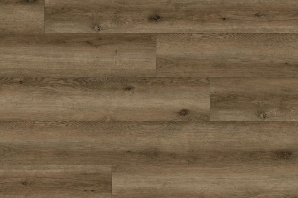10561110_433942312.jpg