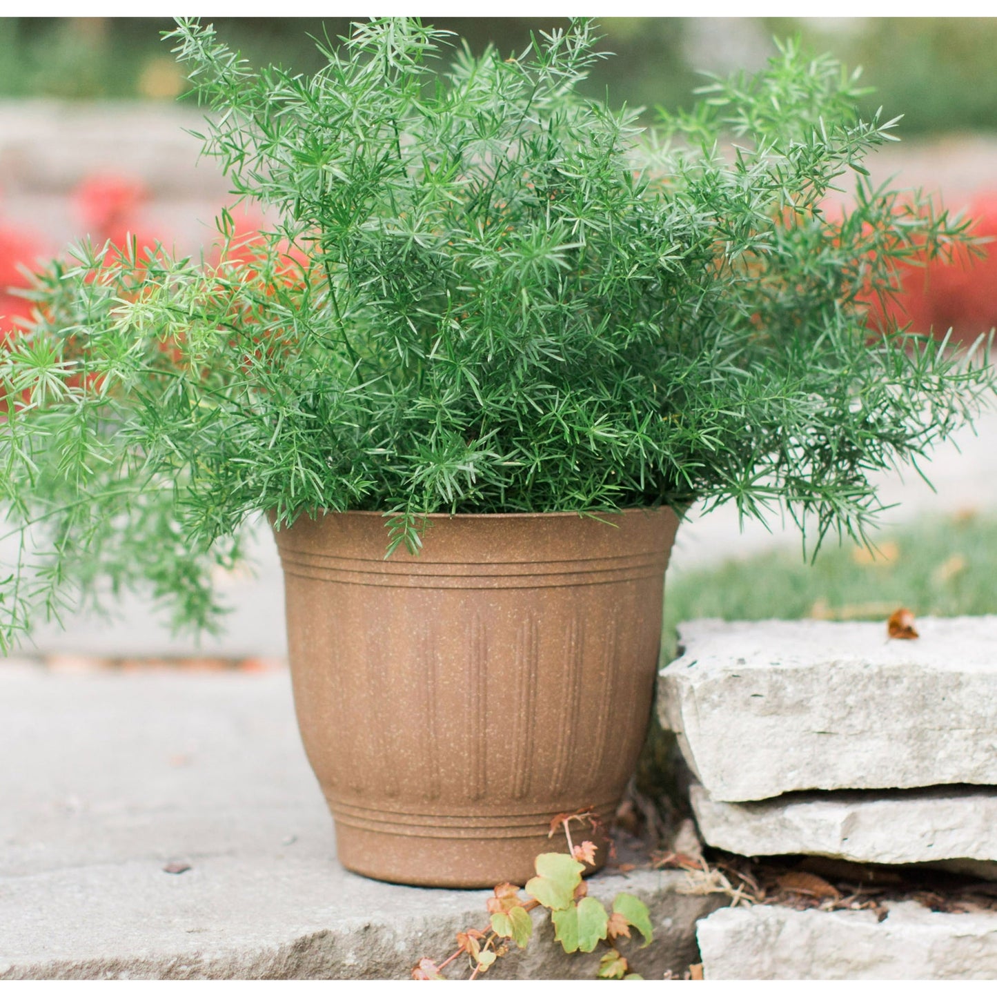 Bloem Colonnade Wood Resin Planter 16" Dark Earth