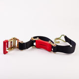 9 ft. x 2 in. Heavy-Duty Ratchet Tie Down (2-Pack) - Super Arbor