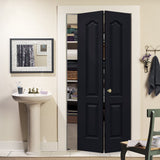 JELD-WEN Princeton 24-in x 80-in Midnight 2-Panel Arch Top Prefinished Molded Composite Bifold Door (Hardware Included)