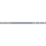 Philips 13-Watt 21 in. Linear T5 Fluorescent Tube Light Bulb Cool White (4100K)