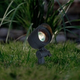Portfolio 230-Lumen 20-Watt Black Low Voltage Halogen Spot Light