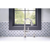Rubicon Single-Handle Pull-Down Sprayer Kitchen Faucet in Vibrant Stainless - Super Arbor