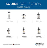 Progress Lighting Squire 3-Light Black Traditional Clear Glass Lantern Mini Indoor/Outdoor Hanging Pendant Light