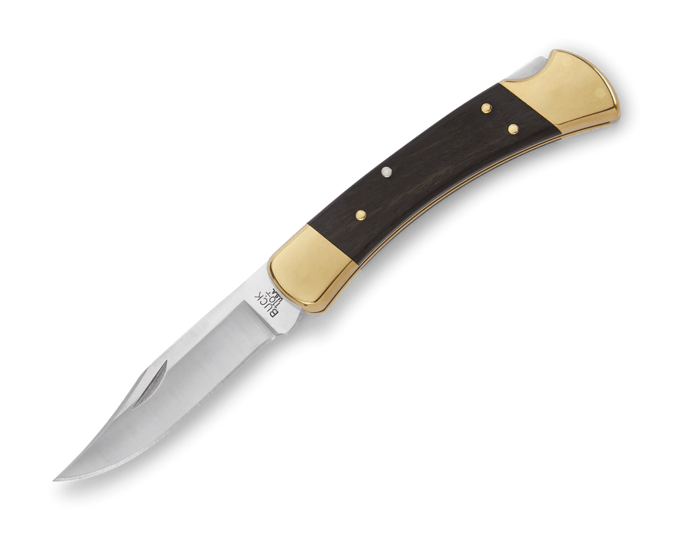 Buck Knives 110 Folding Hunter 3.75-in 420HC Steel Clip Point Pocket Knife with Leather Sheath