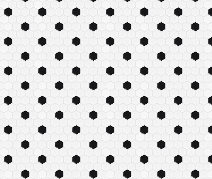 Satori Hudson Brilliant White and Black 10-in x 12-in Matte Porcelain Hexagon Mosaic Wall Tile (0.82-sq. ft/ Piece)