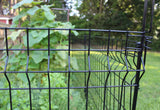 YARDLINK 3-ft W Powder-coated Galvanized Steel Flat-top No Dig Garden Fence Panel