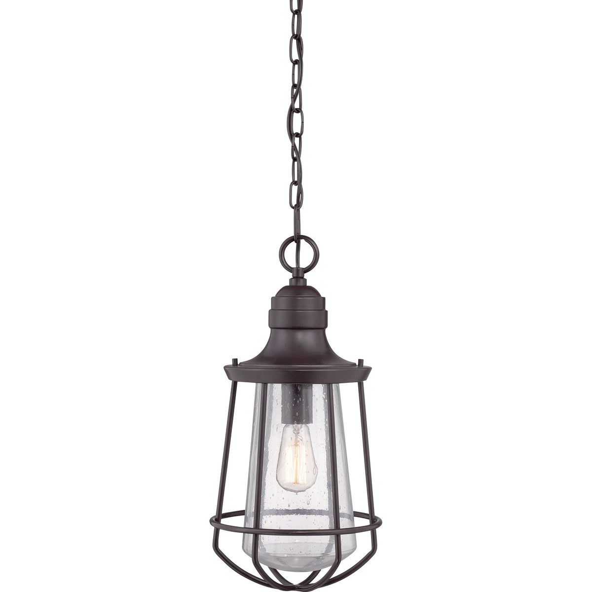Quoizel Marine Western Bronze Seeded Glass Lantern Outdoor Pendant Light, 9.5-in W