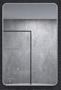 24 in. W x 36 in. H Rectangular Framed Wall Bathroom Vanity Mirror in Brushed Nickel