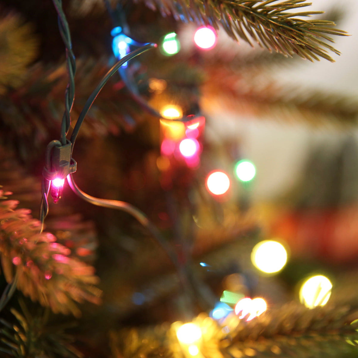 GE String-A-Long 6-ft x 4-ft Constant Multicolor Incandescent Mini Plug-In Christmas Net Lights