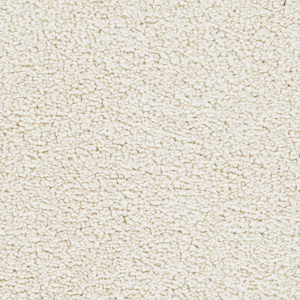 STAINMASTER Active Family Signature Turtle Dove Textured Carpet Sample, 8-in x 8-in