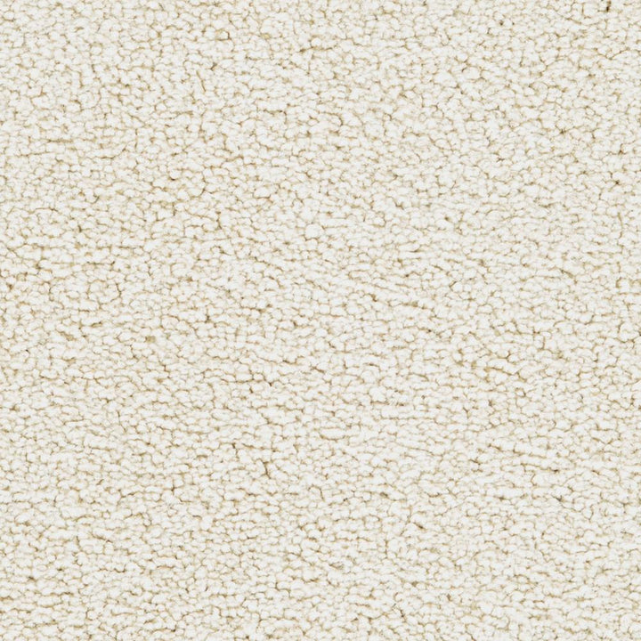 STAINMASTER Active Family Signature Turtle Dove Textured Carpet Sample, 8-in x 8-in
