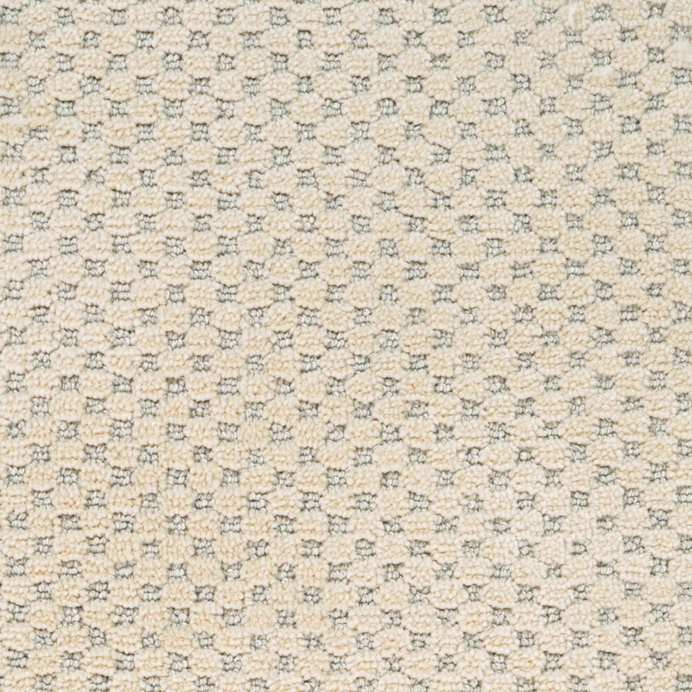 STAINMASTER PetProtect Natural Essence Old Stone Pattern Carpet Sample (Interior, 8-in x 8-in)