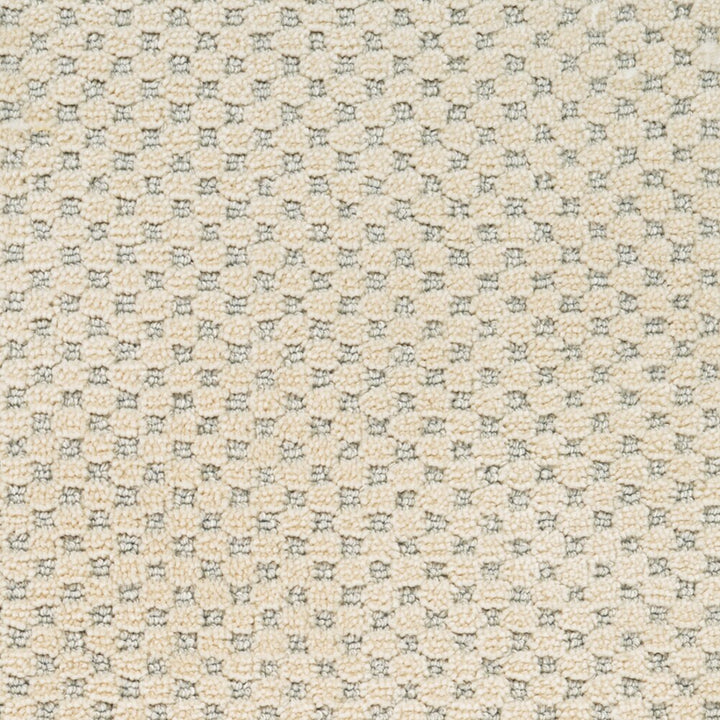 STAINMASTER PetProtect Natural Essence Old Stone Pattern Carpet Sample (Interior, 8-in x 8-in)