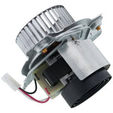 Heil Quaker (ICP) 1196819 inducer motor - side view (Product Type: Inducer Motor)