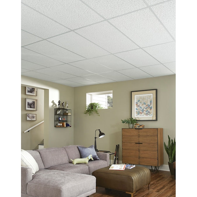 Armstrong Ceilings 4-ft x 2-ft Random Textured Contractor White Mineral Fiber Drop Ceiling Tile (10-Pack, 80-sq ft / Case)