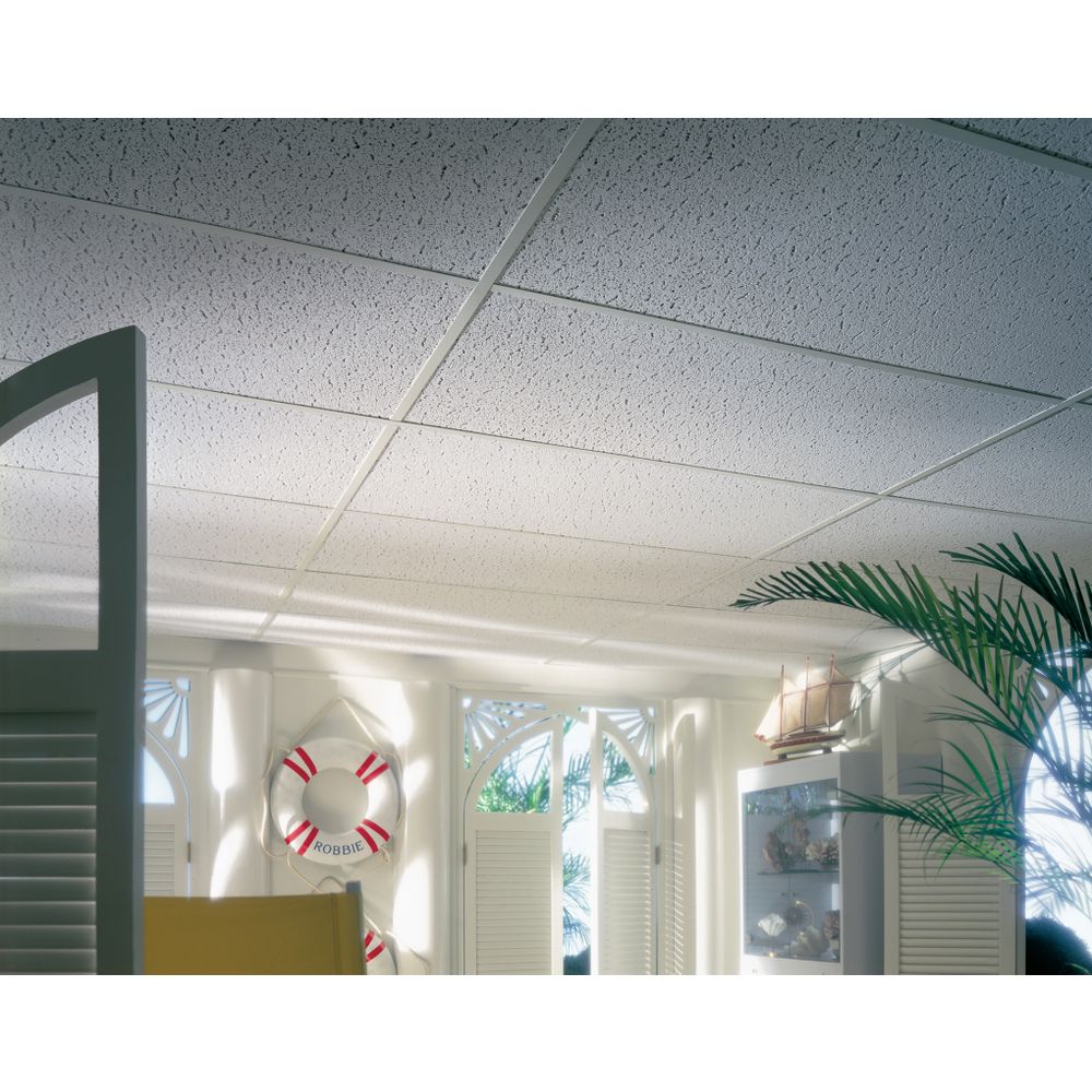 Armstrong Ceilings 48-in x 24-in Textured Contractor White Fissured Drop Acoustic Ceiling Tiles, 4-Pack (15/16-in Grid)
