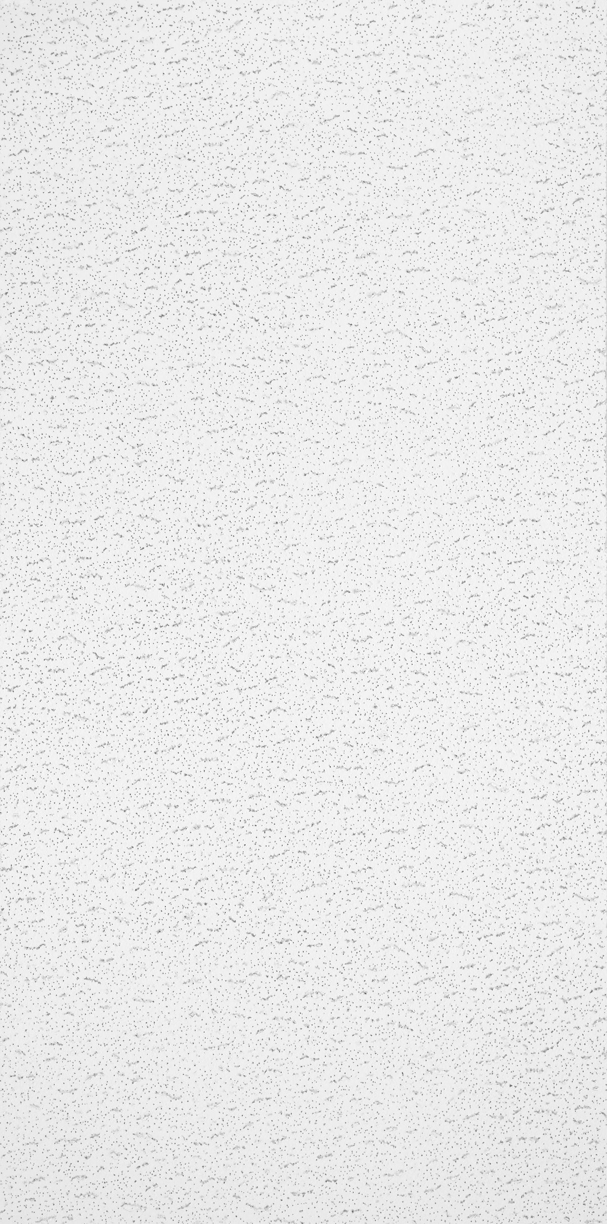 Armstrong Ceilings 48-in x 24-in Textured Contractor White Fissured Drop Acoustic Ceiling Tiles, 4-Pack (15/16-in Grid)