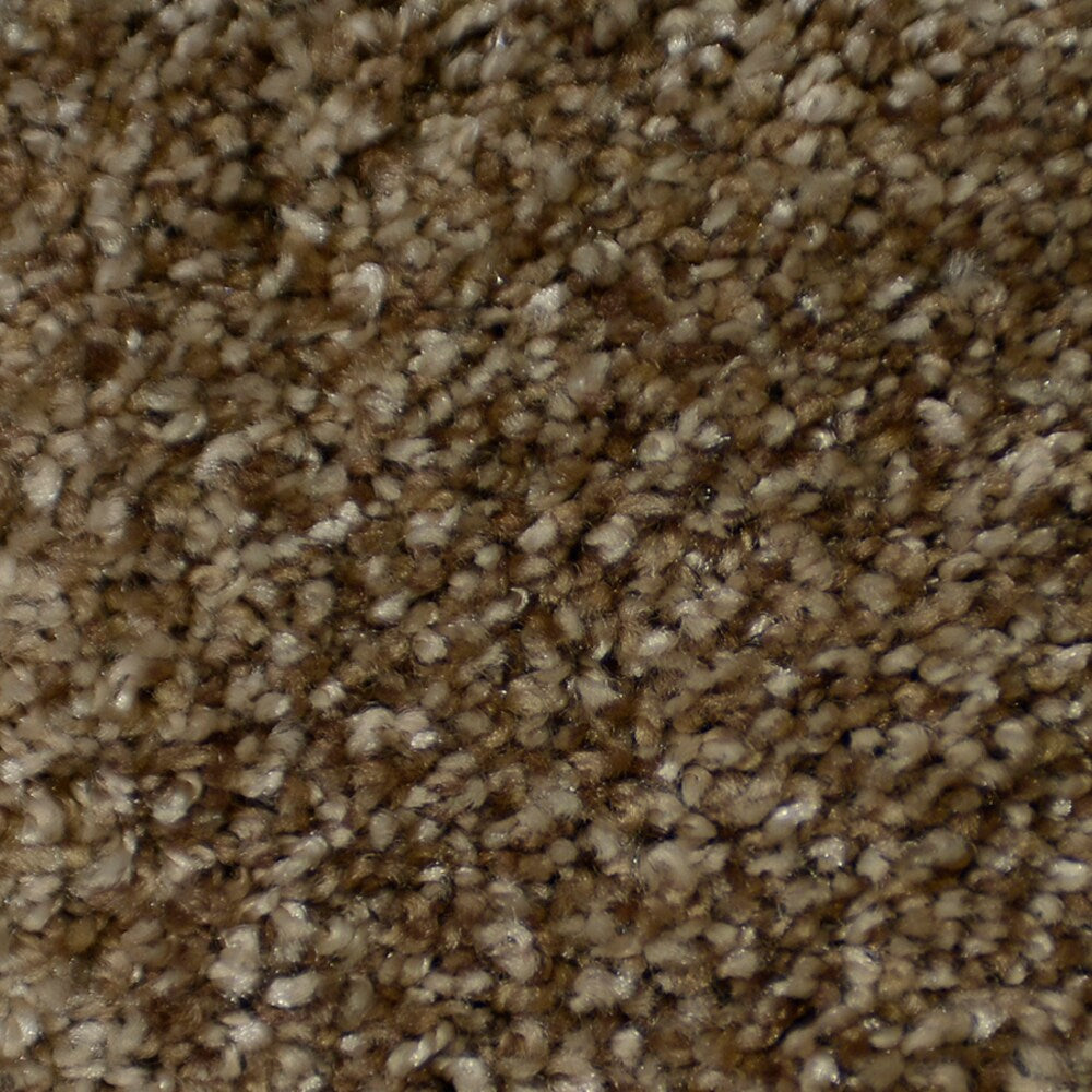 STAINMASTER Signature Documentary Montage Textured Carpet Sample (Interior) - 8 in x 8 in