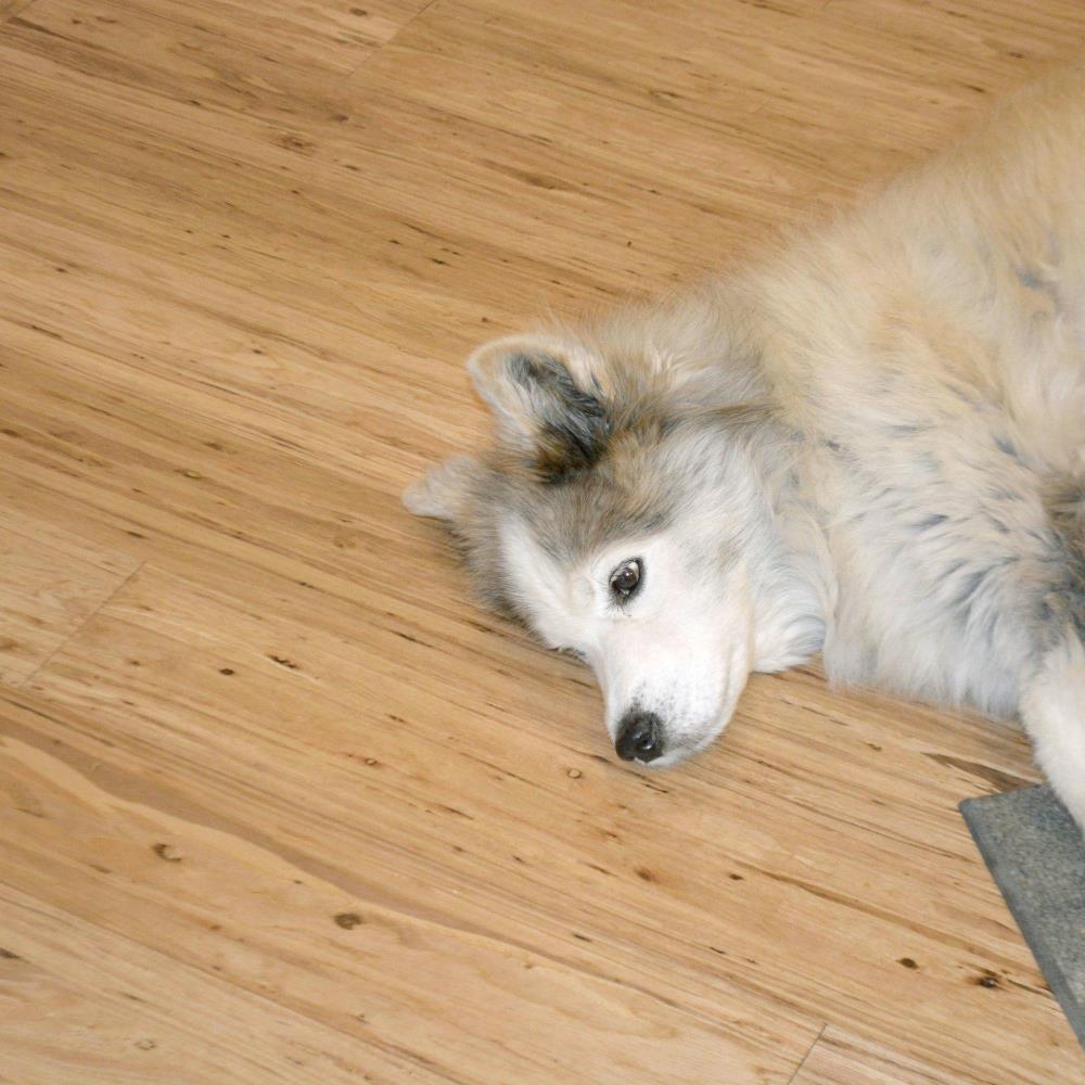 CALI Vinyl Pro Classic 10-Piece 7.12-in x 48-in Natural Eucalyptus Luxury Vinyl Plank Flooring