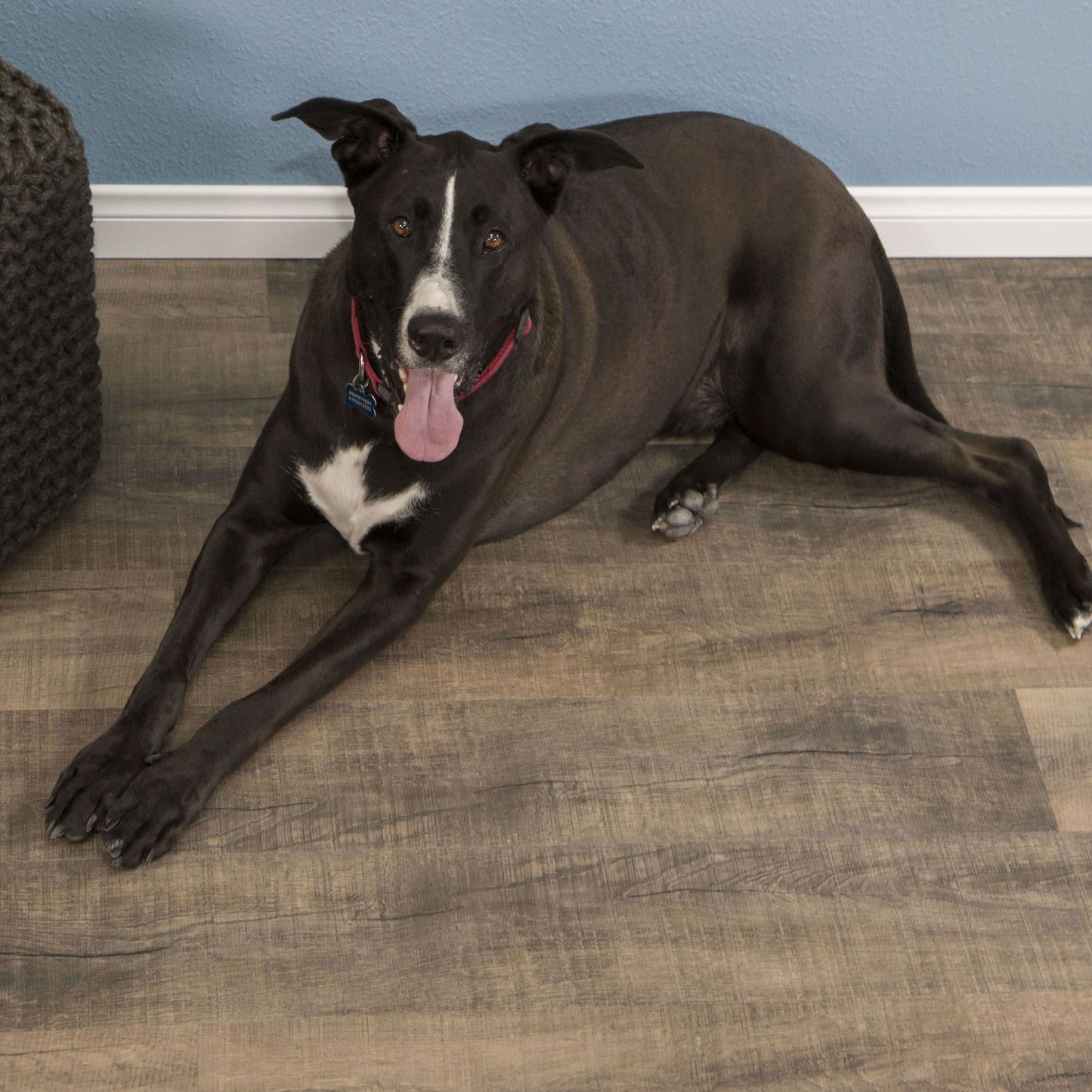 CALI Vinyl Pro Classic Monterey 7-in Wide x 5-1/2-mm Thick Waterproof Interlocking Luxury Vinyl Plank Flooring (23.77-sq ft)