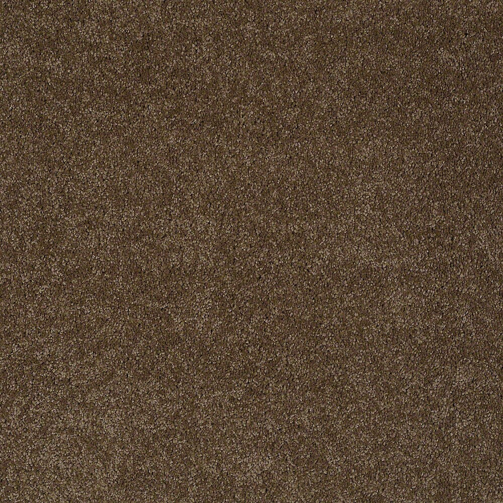 STAINMASTER PetProtect Baxter IV Labrador Textured Carpet Sample, 8-in x 8-in (Interior)