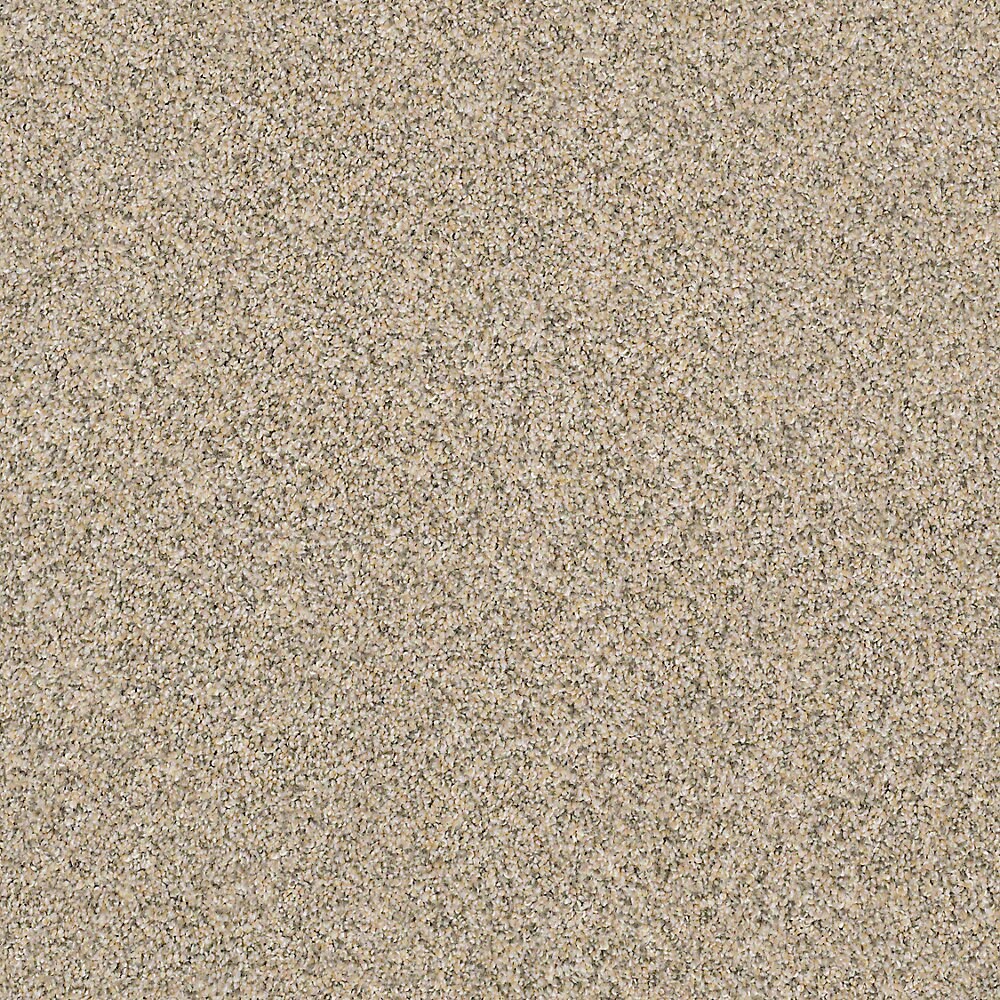 STAINMASTER PetProtect Mineral Bay I 12-ft Sun Kissed Textured Carpet Sample (Interior)