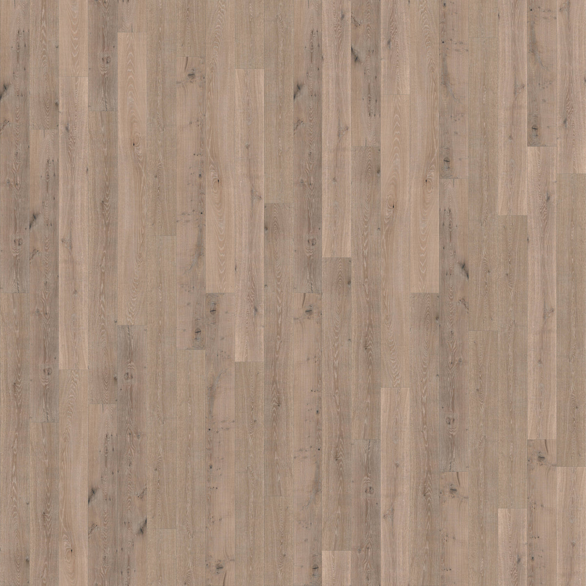 CALI Hardwoods Meritage 9.5-in Sauvignon Oak Wirebrushed Engineered Hardwood Flooring (34.1-sq ft/carton)