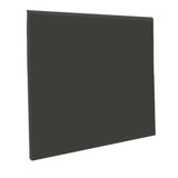 Flexco Umber 6-in x 48-in Vinyl Floor Base