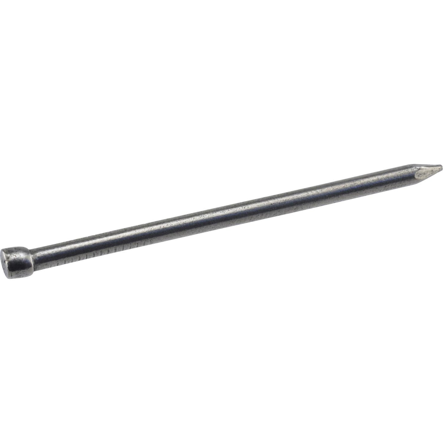 Hillman 6D 2 in. Finishing Polished Steel Nail - Large Head