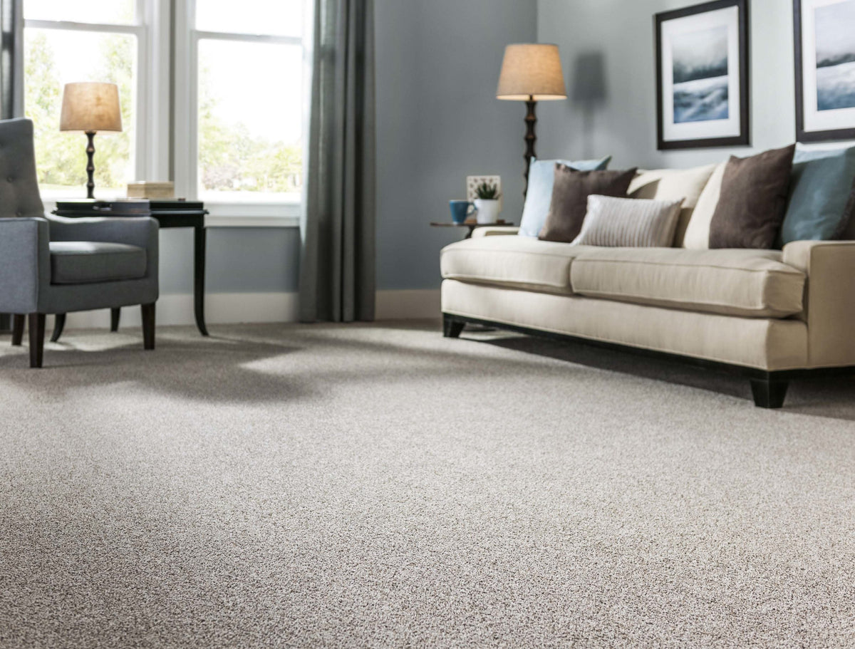 STAINMASTER PetProtect Concord Mystical Charm Textured Indoor Carpet, 12-ft Roll Width, 42-oz Nylon