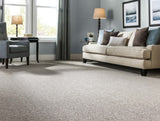 STAINMASTER PetProtect Concord Mystical Charm Textured Indoor Carpet, 12-ft Roll Width, 42-oz Nylon
