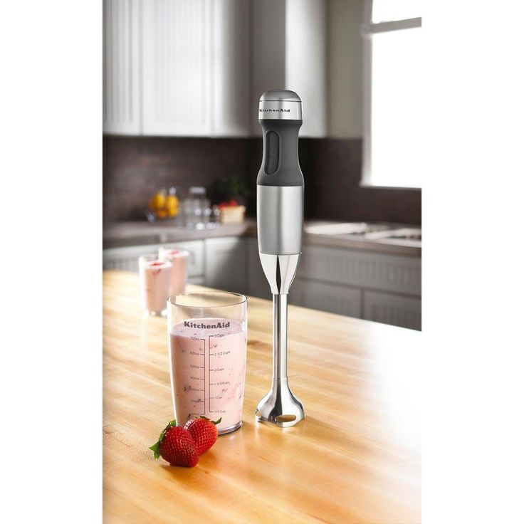 2-Speed Silver Immersion Blender