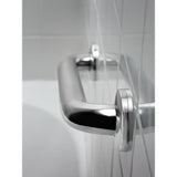 Delta 16-in Peened & Bright Stainless Wall-Mount ADA-Compliant Grab Bar