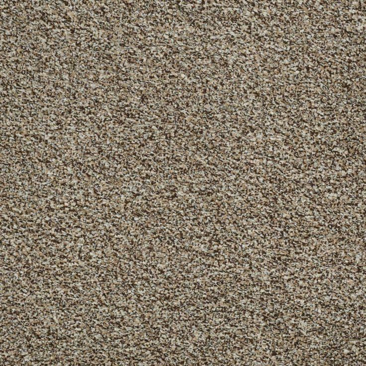 TrafficMaster Toulon 12 ft. Wide x Cut to Length Indoor/Outdoor Thornwood Artificial Grass