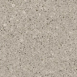 Transolid 37-in Olympia Gray Quartz Single-Sink Bathroom Vanity Top with Backsplash and Undermount Sink
