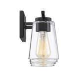 32 in. 4-Light Black Vanity Light with Clear Glass