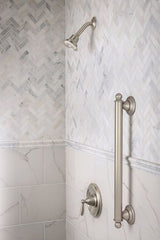 Moen Brantford 24-in Brushed Nickel Wall Mount (ADA Compliant) Grab Bar
