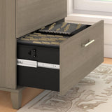 Bush Furniture Somerset Ash Gray 2-Drawer 29.72-in File Cabinet