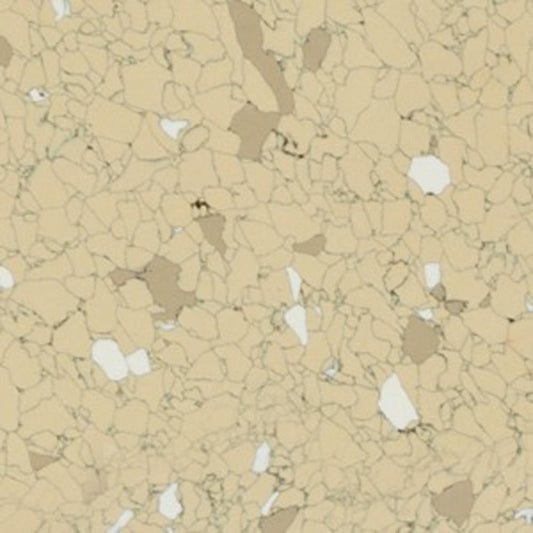 Flexco Dissipative Tile Golden Gate 24-in x 24-in Vinyl Tile Flooring (4-sq ft)