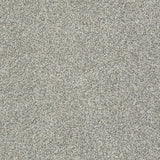 STAINMASTER PetProtect Baxter II Trixie Textured Carpet (Indoor)
