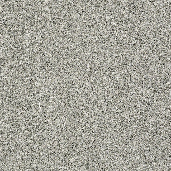 STAINMASTER PetProtect Baxter I Trixie Textured Carpet (Indoor)