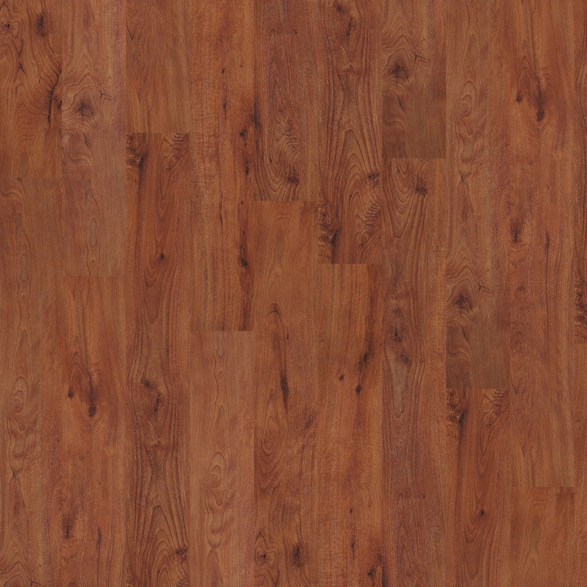 Shaw Farmers Market 12 mil Storey 6-in Wide x 2-mm Thick Water Resistant Luxury Vinyl Plank Flooring (53.93-sq ft)
