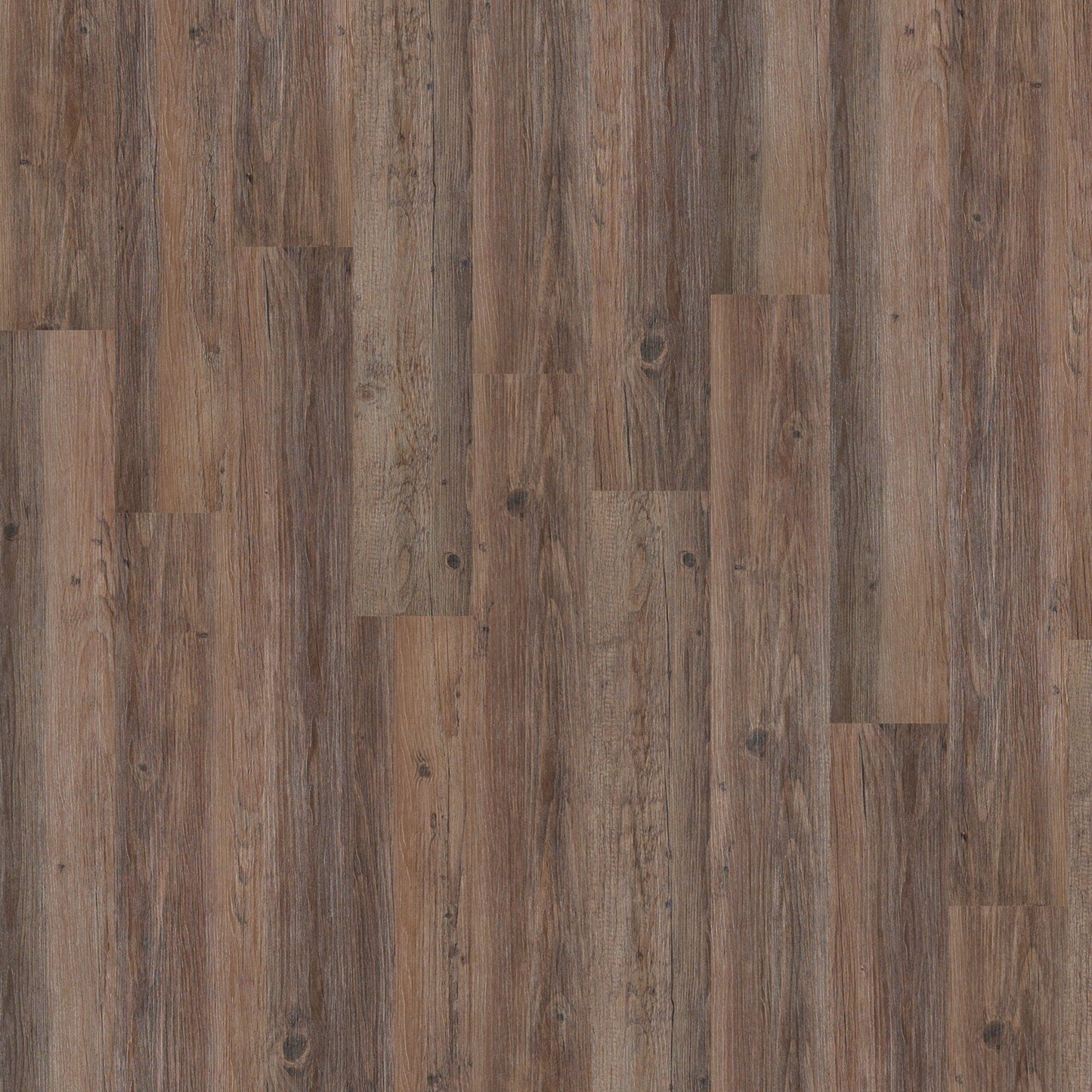 Shaw Farmers Market 6 mil Farmland 6-in Wide x 2-mm Thick Waterproof Luxury Vinyl Plank Flooring (53.93-sq ft)