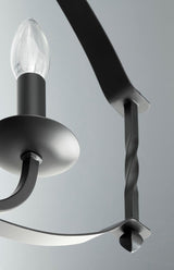 Progress Lighting Greyson 5-Light Black Rustic Chandelier