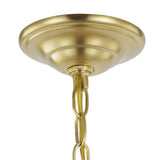 Progress Lighting Equinox 4-Light Antique Bronze Transitional Geometric Medium Hanging Pendant Light
