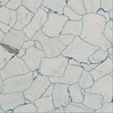 Flexco Dissipative Tile Gray/Dark Gray 24-in x 24-in Vinyl Tile Flooring (4-sq ft)